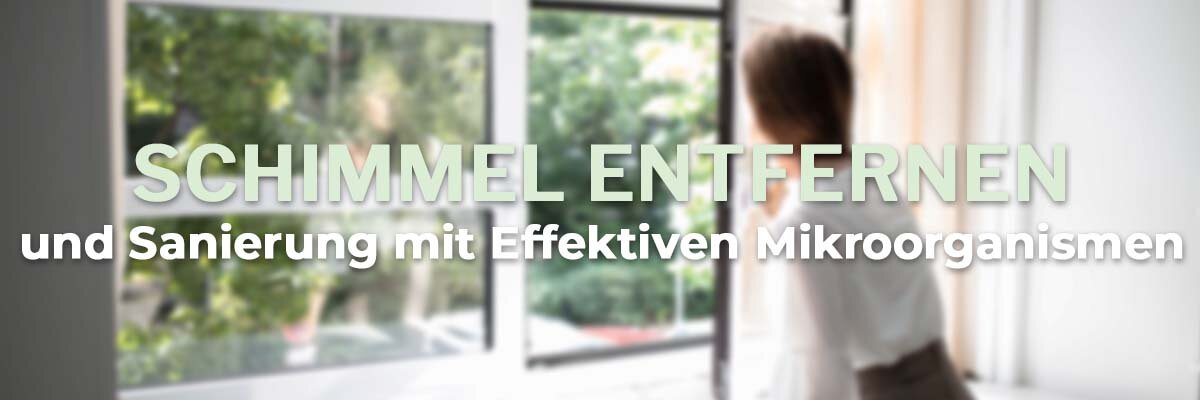  Schimmel entfernen und Sanierung mit Effektiven Mikroorganismen - Schimmel entfernen und Sanierung mit Effektiven Mikroorganismen