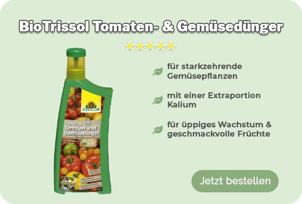 Tomatendünger kaufen