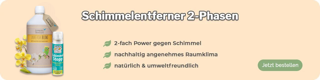 Schimmelentferner kaufen