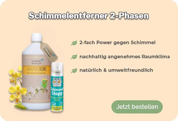 Schimmelentferner kaufen